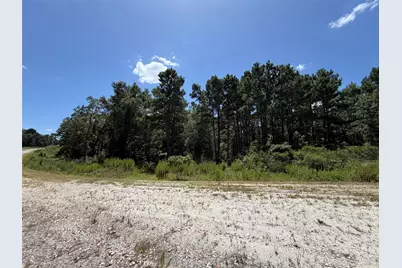 Tbd Pr 1284, Centerville, TX 75833 - Photo 6