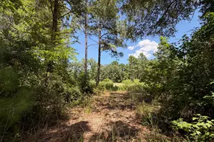 Tbd Pr 1284, Centerville, TX 75833 - Photo 1