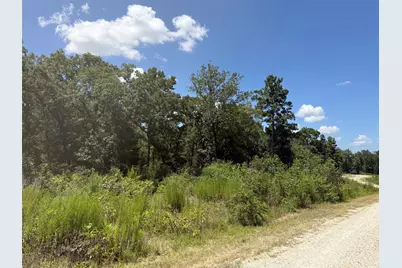 Tbd Pr 1284, Centerville, TX 75833 - Photo 4