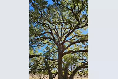 Tbd E US Hwy 90, Waelder, TX 78959 - Photo 6