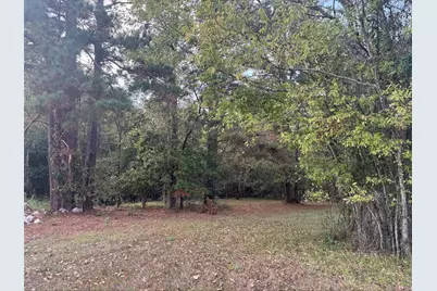 0 Silver Hickory Drive, Coldspring, TX 77331 - Photo 4