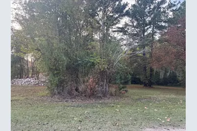 0 Silver Hickory Drive, Coldspring, TX 77331 - Photo 2