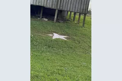 5130 County Road 868E Road, Brazoria, TX 77422 - Photo 32