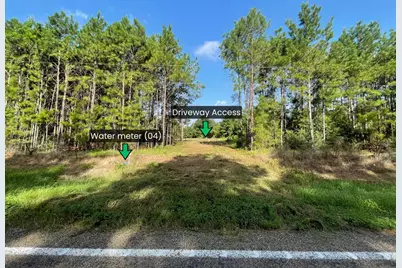 Lot 4 E Fm 942, Livingston, TX 77351 - Photo 1