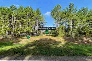 Lot 4 E Fm 942, Livingston, TX 77351 - Photo 1