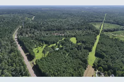Lot 4 E Fm 942, Livingston, TX 77351 - Photo 16