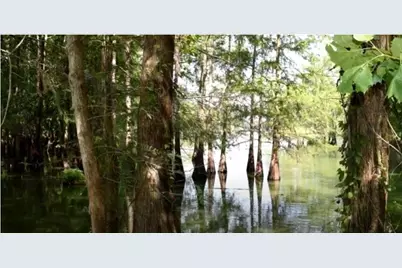 478 Center Drive, Cleveland, TX 77327 - Photo 8