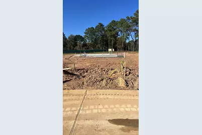 217 Elm Spring Drive, Hockley, TX 77447 - Photo 2