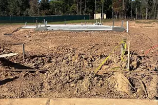 217 Elm Spring Dr, Hockley, TX 77447 - Photo 2