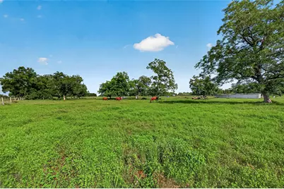 0 Mt Zion Road, Brookshire, TX 77423 - Photo 12
