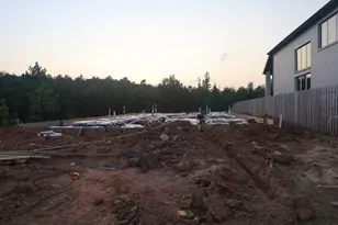 2009 Lobo Ct, Montgomery, TX 77316 - Photo 30