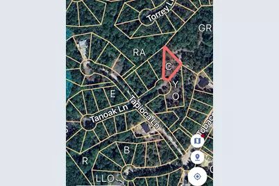 281 Tanoak Lane, Brookeland, TX 75931 - Photo 2