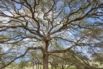 207 Bauer Rummel Road, Round Top, TX 78954 - Photo 16