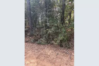 Tbd Glen Nettles Road, Livingston, TX 77351 - Photo 2