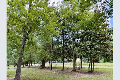 630 Hillbilly Heaven Road, Livingston, TX 77351 - Photo 18