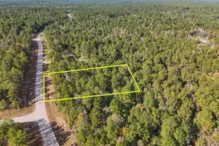 0 Windmill Rd, New Waverly, TX 77358 - Photo 1