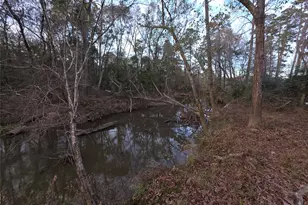 1302 N Lake Dr, Splendora, TX 77372 - Photo 8