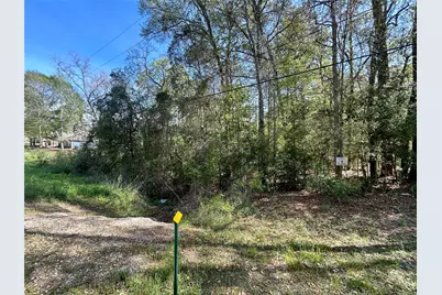 Lot 77-B Royal Lake Drive, Conroe, TX 77303 - Photo 2