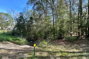 Lot 77-B Royal Lake Dr, Conroe, TX 77303 - Photo 2