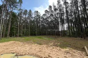 4320 Rd 66128, Dayton, TX 77535 - Photo 18