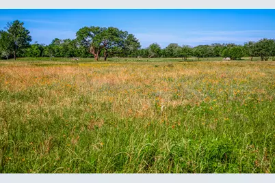330 N Nassau Road, Round Top, TX 78954 - Photo 8