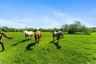 0 Fm 1161, Hungerford, TX 77448 - Photo 44