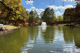 263 S Crimson Clover Ct, The Woodlands, TX 77381 - Photo 48