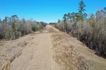 Lot 24 Hwy 96, Pineland, TX 76968 - Photo 6