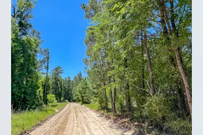 T-5 Punk Road, Corrigan, TX 75939 - Photo 10