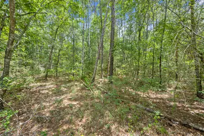 0 Wee Creek Lane, Montgomery, TX 77356 - Photo 8