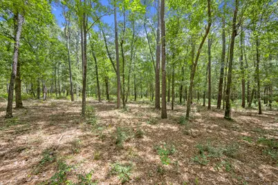 0 Wee Creek Lane, Montgomery, TX 77356 - Photo 6