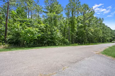 0 Wee Creek Lane, Montgomery, TX 77356 - Photo 4