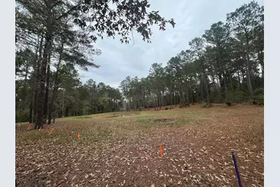 768 County Road 219, Brookeland, TX 75931 - Photo 2