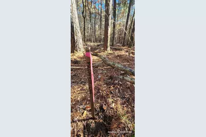 Tbd County Road 405, San Augustine, TX 75972 - Photo 16