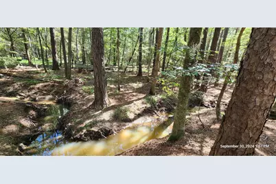 Tbd County Road 405, San Augustine, TX 75972 - Photo 8