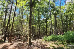 Tbd County Road 405, San Augustine, TX 75972 - Photo 1