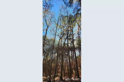 Tbd County Road 405, San Augustine, TX 75972 - Photo 34