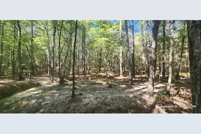 Tbd County Road 405, San Augustine, TX 75972 - Photo 10