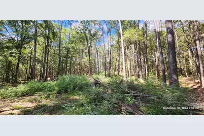 Tbd County Road 405, San Augustine, TX 75972 - Photo 28