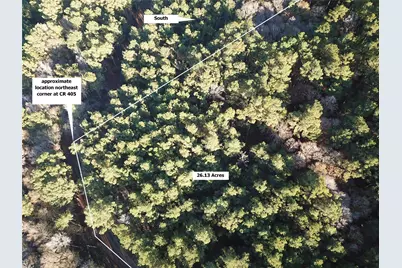 Tbd County Road 405, San Augustine, TX 75972 - Photo 24