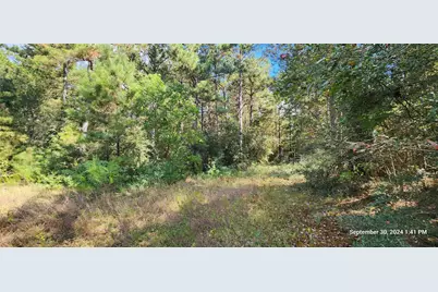 Tbd County Road 405, San Augustine, TX 75972 - Photo 42