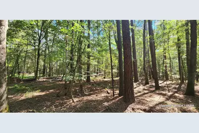 Tbd County Road 405, San Augustine, TX 75972 - Photo 22