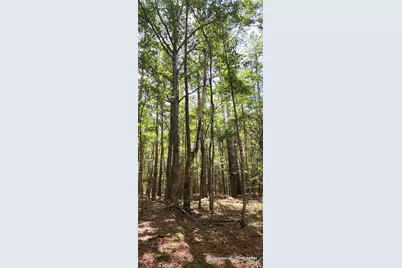 Tbd County Road 405, San Augustine, TX 75972 - Photo 50