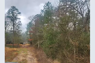 Lot 5 Tupelo Lane, Plantersville, TX 77363 - Photo 12