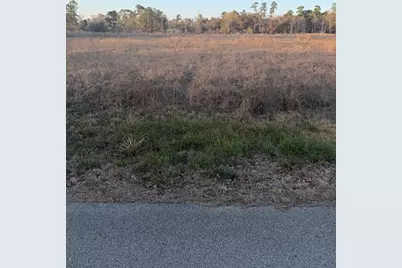 1457 Country Lane, Conroe, TX 77384 - Photo 6