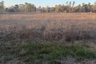 1457 Country Ln, Conroe, TX 77384 - Photo 6