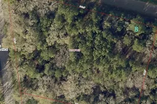 8 Dairyland, Willis, TX 77318 - Photo 1