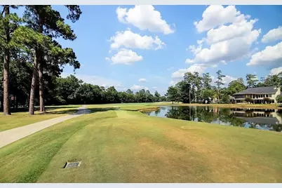 8 N Timber Top Drive, The Woodlands, TX 77380 - Photo 14