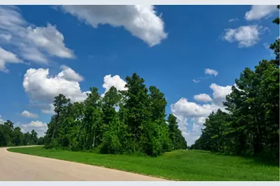 15780 Wooded Trail Way, Willis, TX 77378 - Photo 4