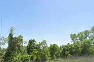 0 Hwy 35, Van Vleck, TX 77482 - Photo 4